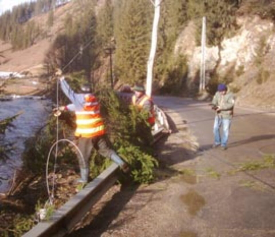 Vijelia de joi noapte a dat județul peste cap Vijelia de joi noapte a dat județul peste cap