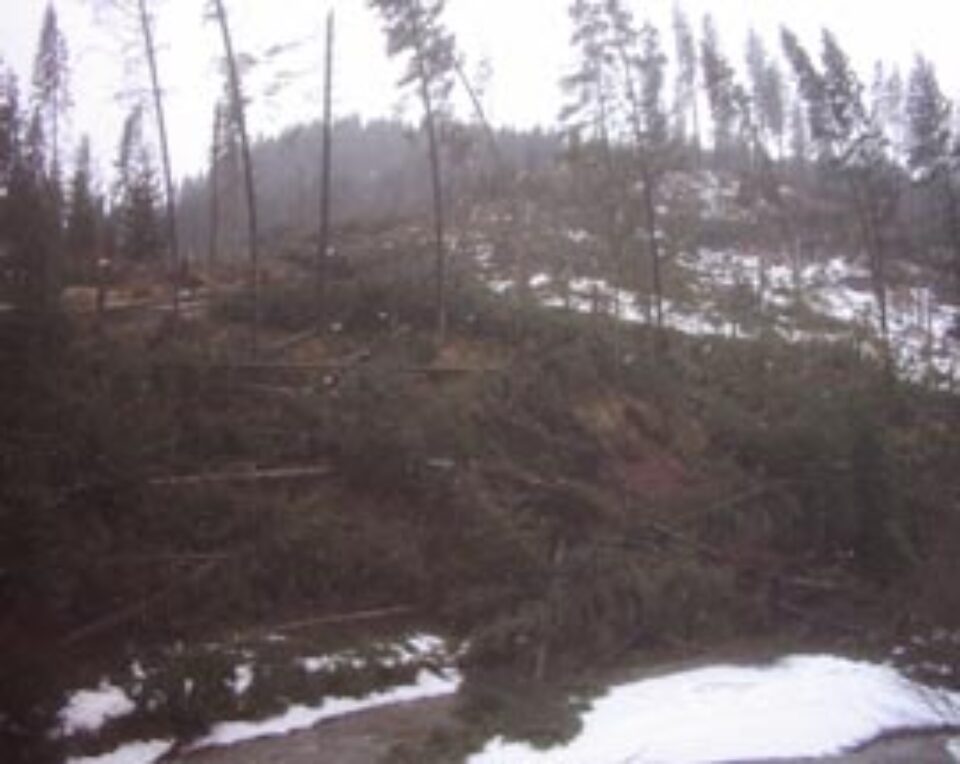 Vijelia de joi noapte a dat județul peste cap