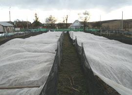 Fermele de găini și porci, înlocuite cu cele de melci și struți