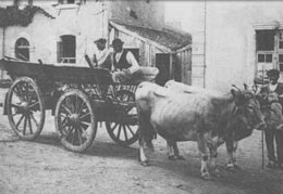 Din presa de altadata