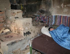 Bătrânețe printre șobolani