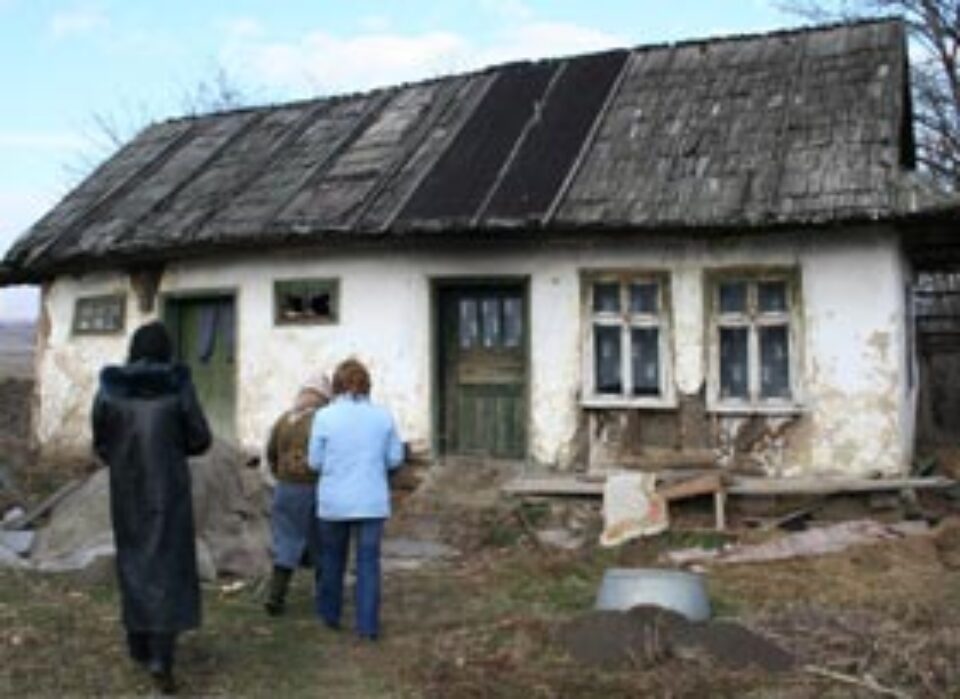 Bătrânețe printre șobolani