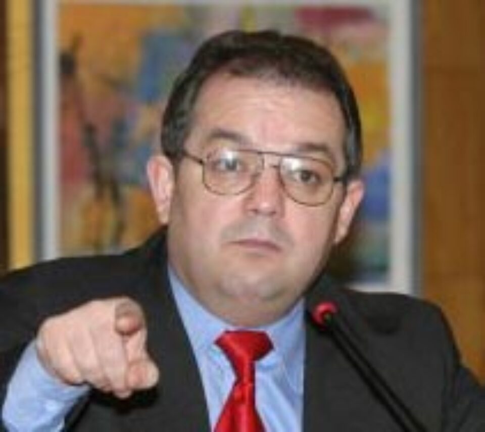 PD merge singur pe liste la alegerile pentru Parlamentul European