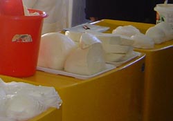 250.000 de mici producători se vor înregistra pentru a comercializa alimente