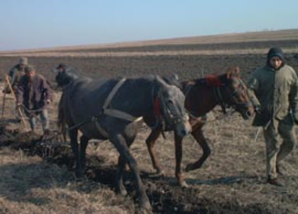 Fondurile UE pentru dezvoltare rurală vor ajunge la fermieri în septembrie