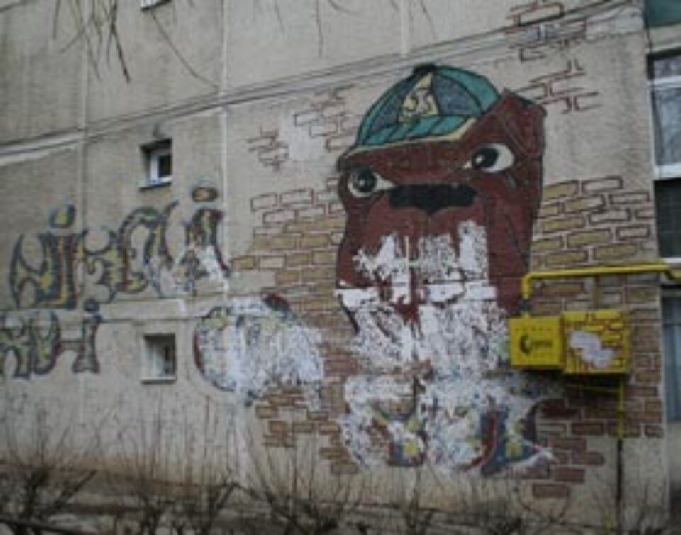 Graffiti, un fenomen amplificat de urbanizare