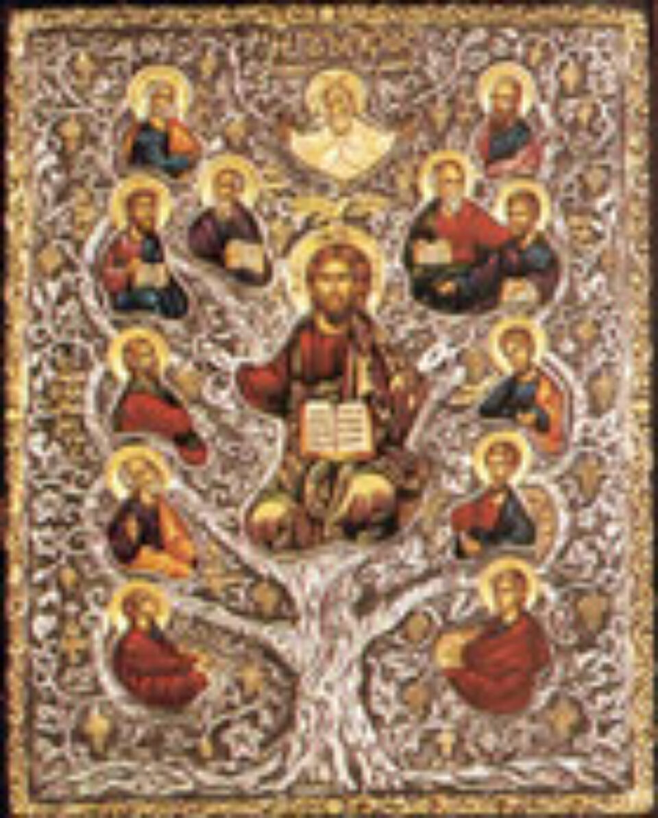 Dragoste, bunătate, milă, îndelungă răbdare