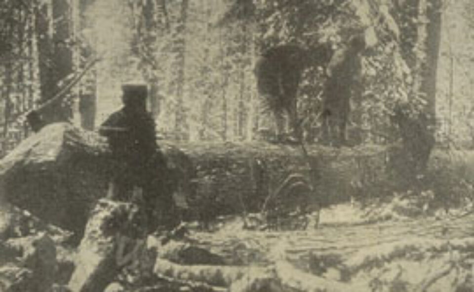 Din presa de altadata