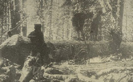 Din presa de altadata