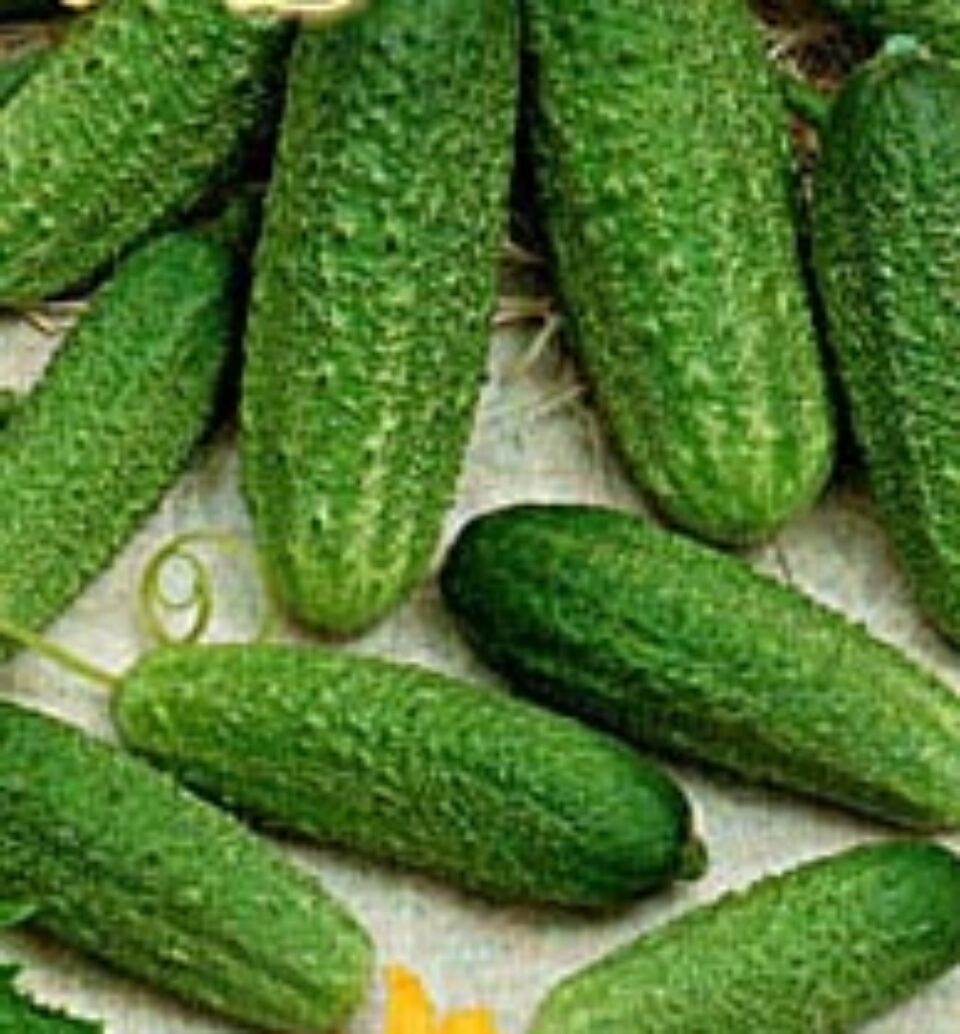 Din presa de altadata