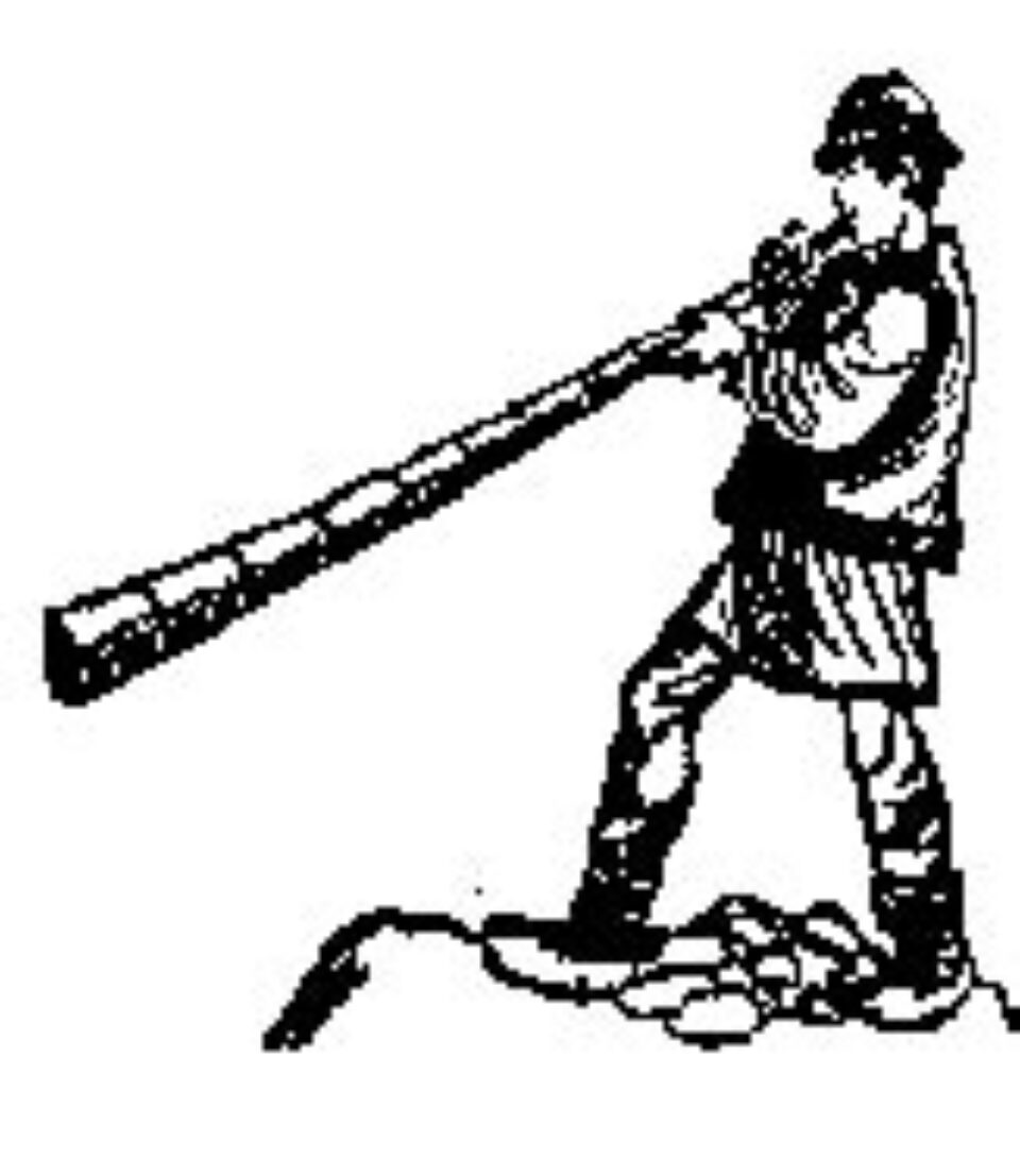 Dragobetele, întrecut de Sf. Valentin