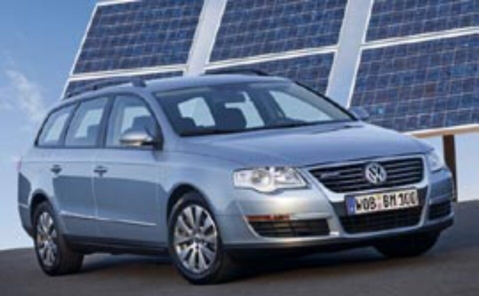 Nemții fac economie