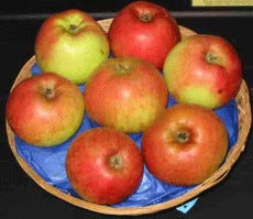 Din presa de altadata