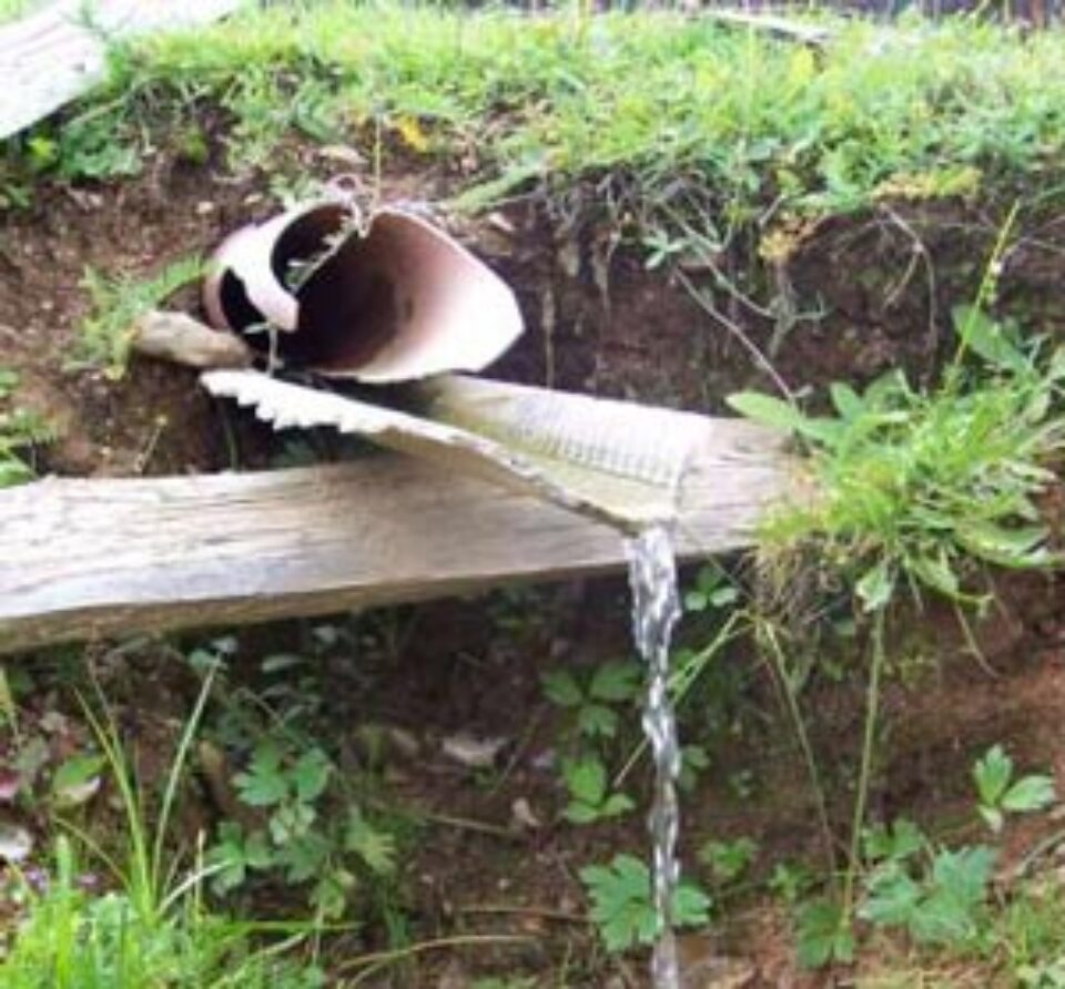 Din presa de altadata Din presa de altadata