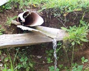 Din presa de altadata