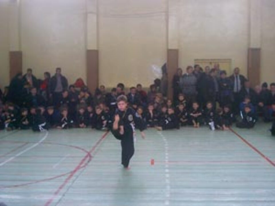 Cupa Sucevei, prima competiție din 2007 pentru cluburile He Pai și Kim Bao Cupa Sucevei, prima competiție din 2007 pentru cluburile He Pai și Kim Bao