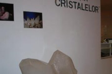 „Fascinația cristalelor” la Muzeul de Științele Naturii