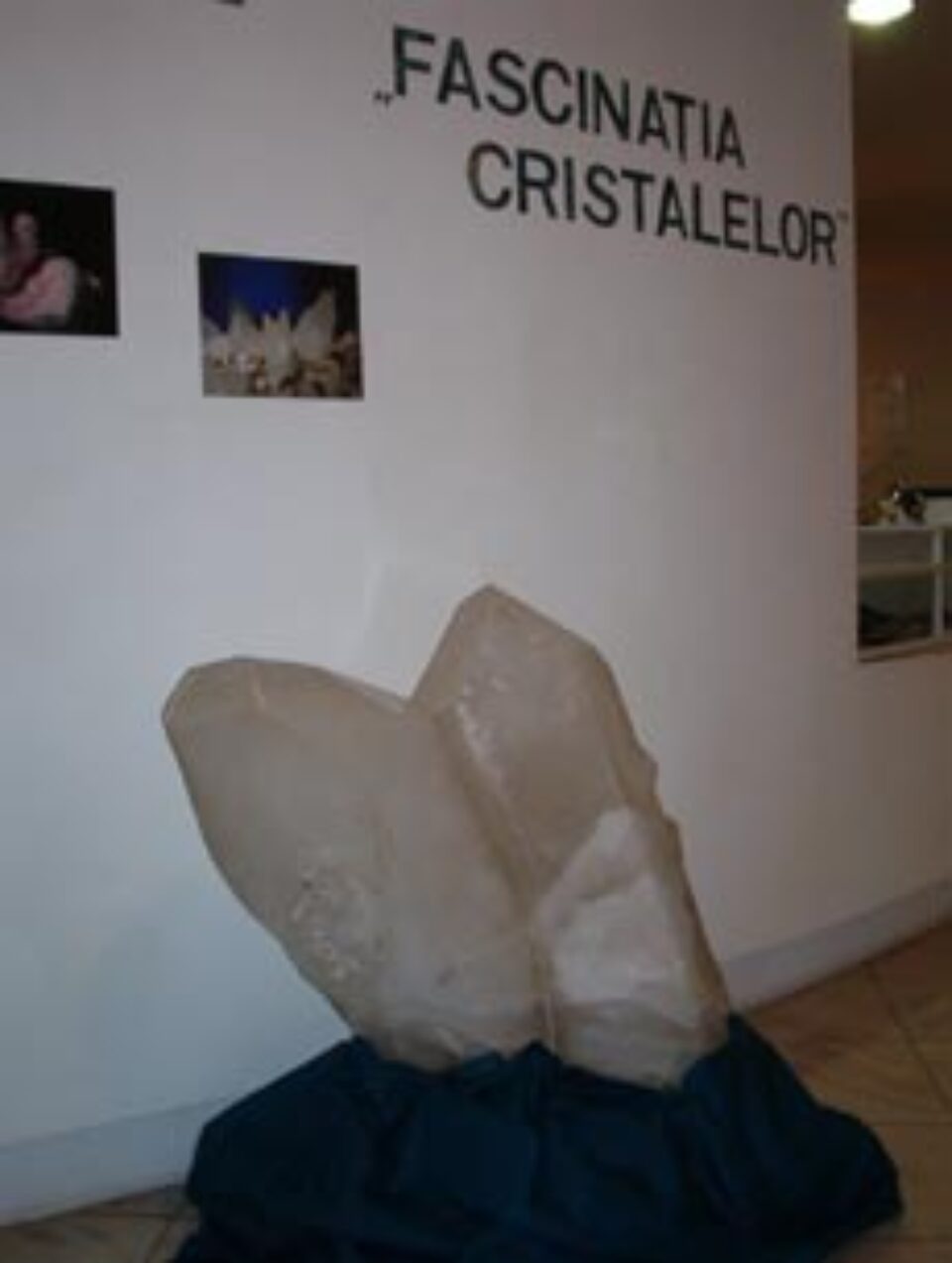 „Fascinația cristalelor” la Muzeul de Științele Naturii „Fascinația cristalelor” la Muzeul de Științele Naturii