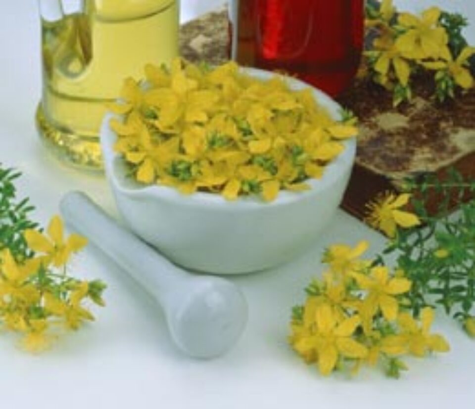 Sucuri din plante medicinale Sucuri din plante medicinale