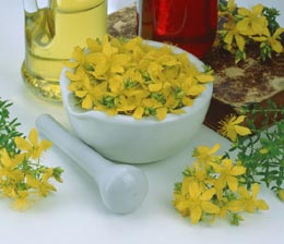 Sucuri din plante medicinale