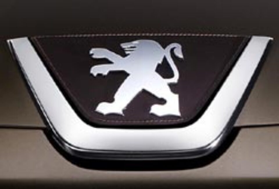 Prietenos cu mediul Prietenos cu mediul