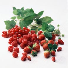 Mugurii de zmeur întârzie îmbătrânirea