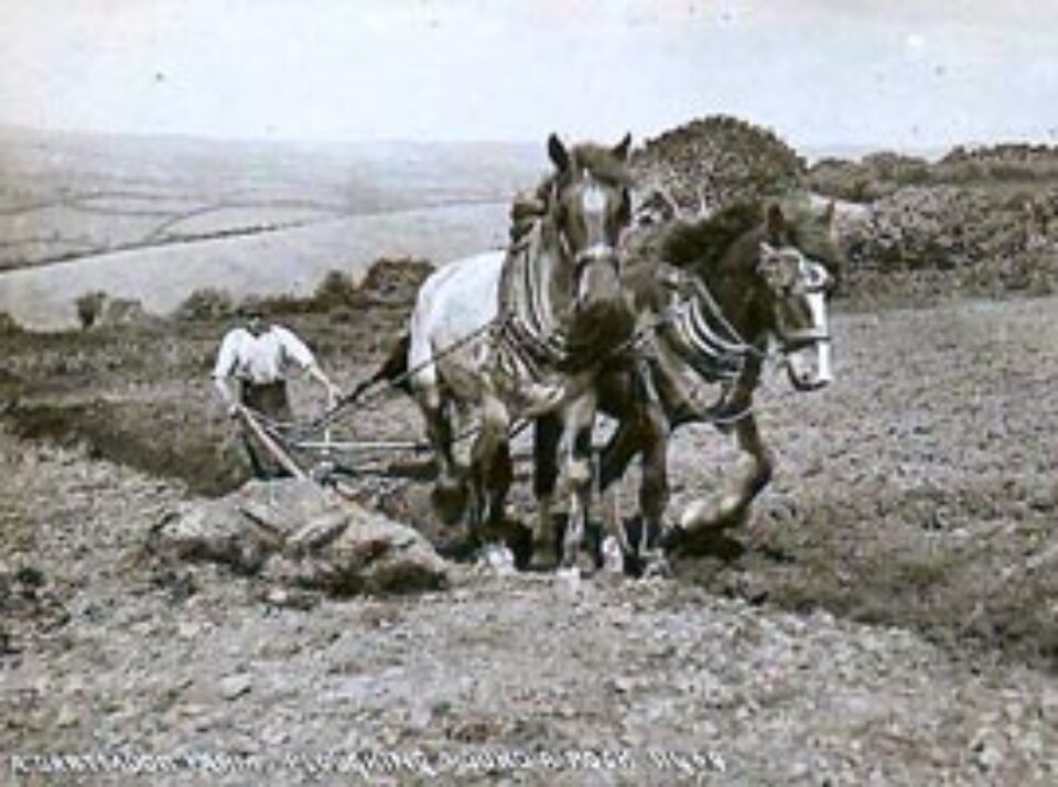 Din presa de altadata Din presa de altadata