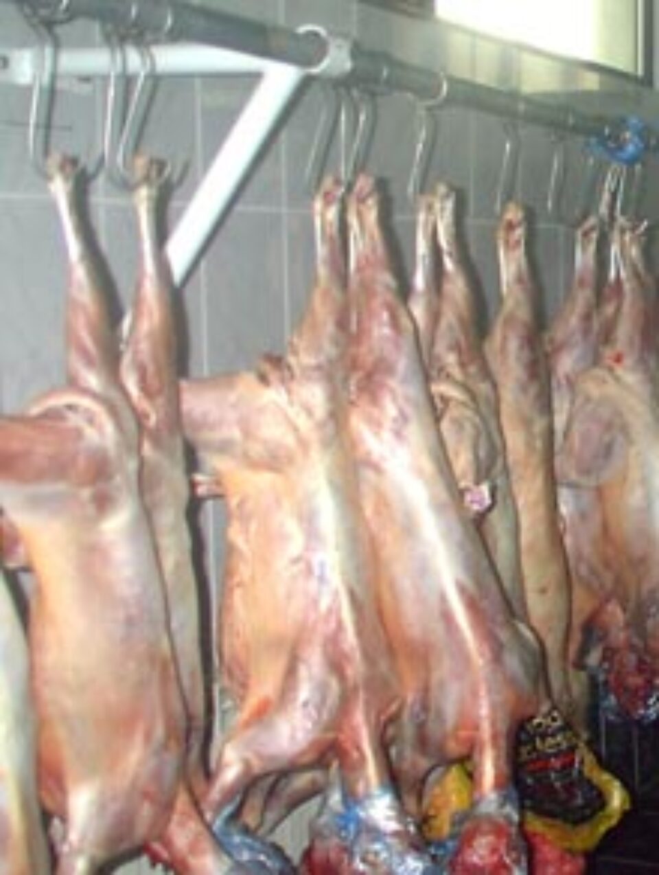 Vânzarea cărnii de miel fără marcă de sănătate și a ouălor de rață, interzisă de Paște Vânzarea cărnii de miel fără marcă de sănătate și a ouălor de rață, interzisă de Paște