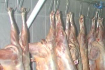 Vânzarea cărnii de miel fără marcă de sănătate și a ouălor de rață, interzisă de Paște