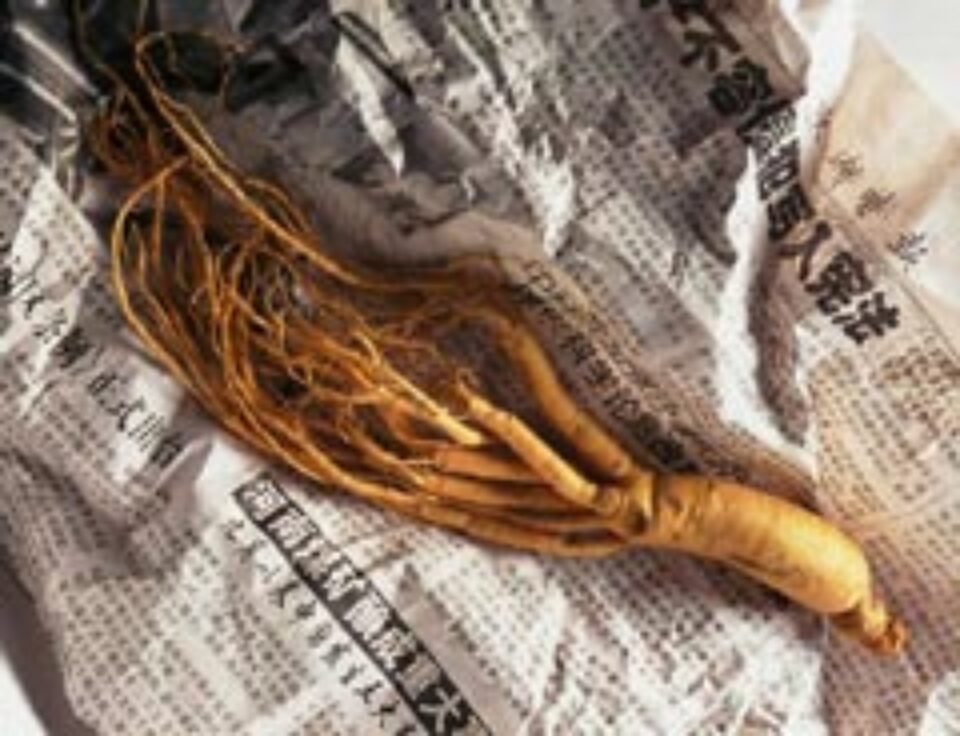 Despre nocivitatea unor plante medicinale Despre nocivitatea unor plante medicinale