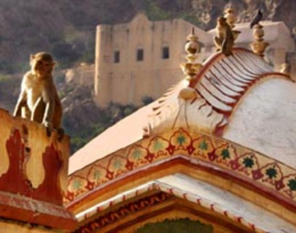 Paște în Japonia, India și Nepal