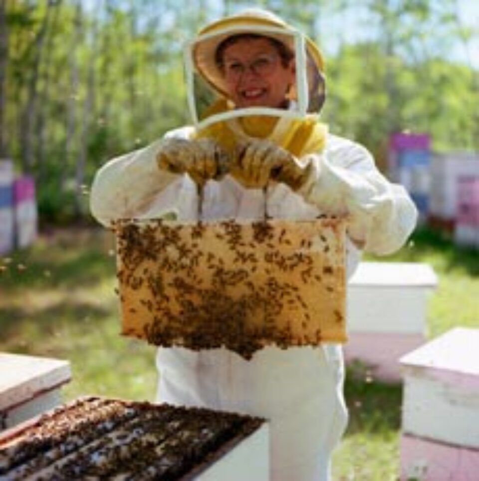 Polenul conține toate elementele esențiale pentru viață Polenul conține toate elementele esențiale pentru viață