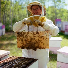 Polenul conține toate elementele esențiale pentru viață