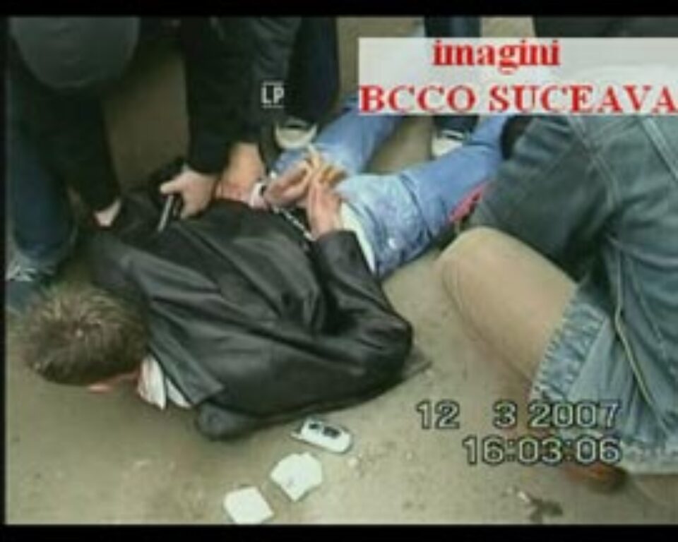 Peste 10.000 de pastile de ecstasy urmau să ajungă pe piața din Suceava