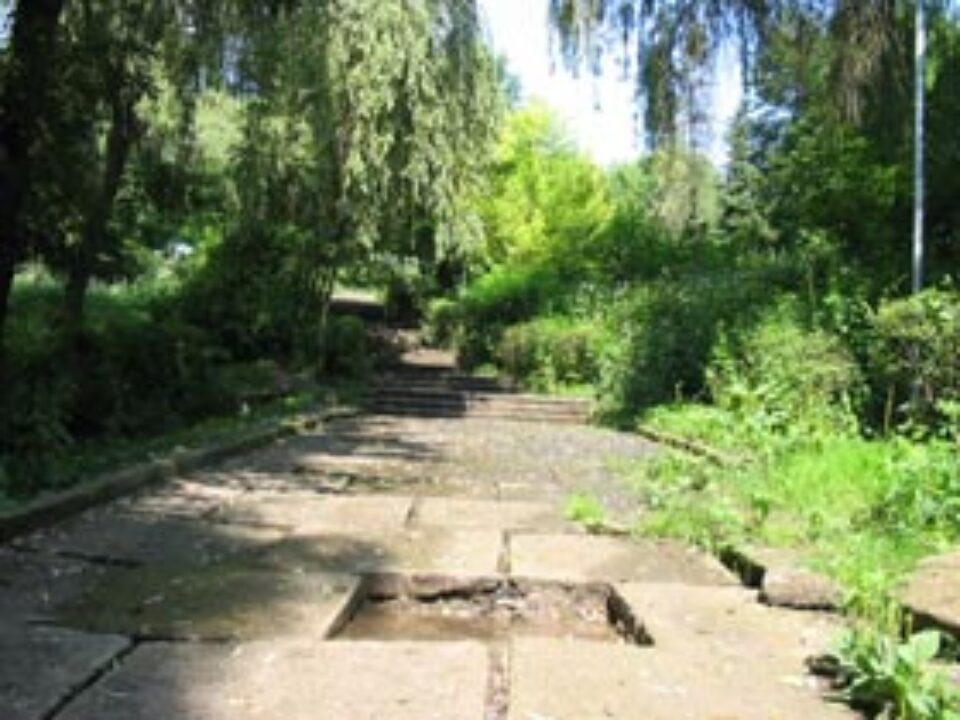 Studenții democrați încep igienizarea parcului Șipote Studenții democrați încep igienizarea parcului Șipote