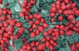 Remedii utile în evitarea crizelor de astm