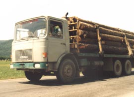 Material lemnos confiscat de polițiștii de frontieră