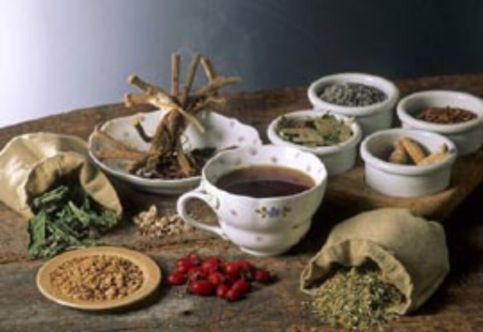 Tratamente naturiste în bolile de primăvară