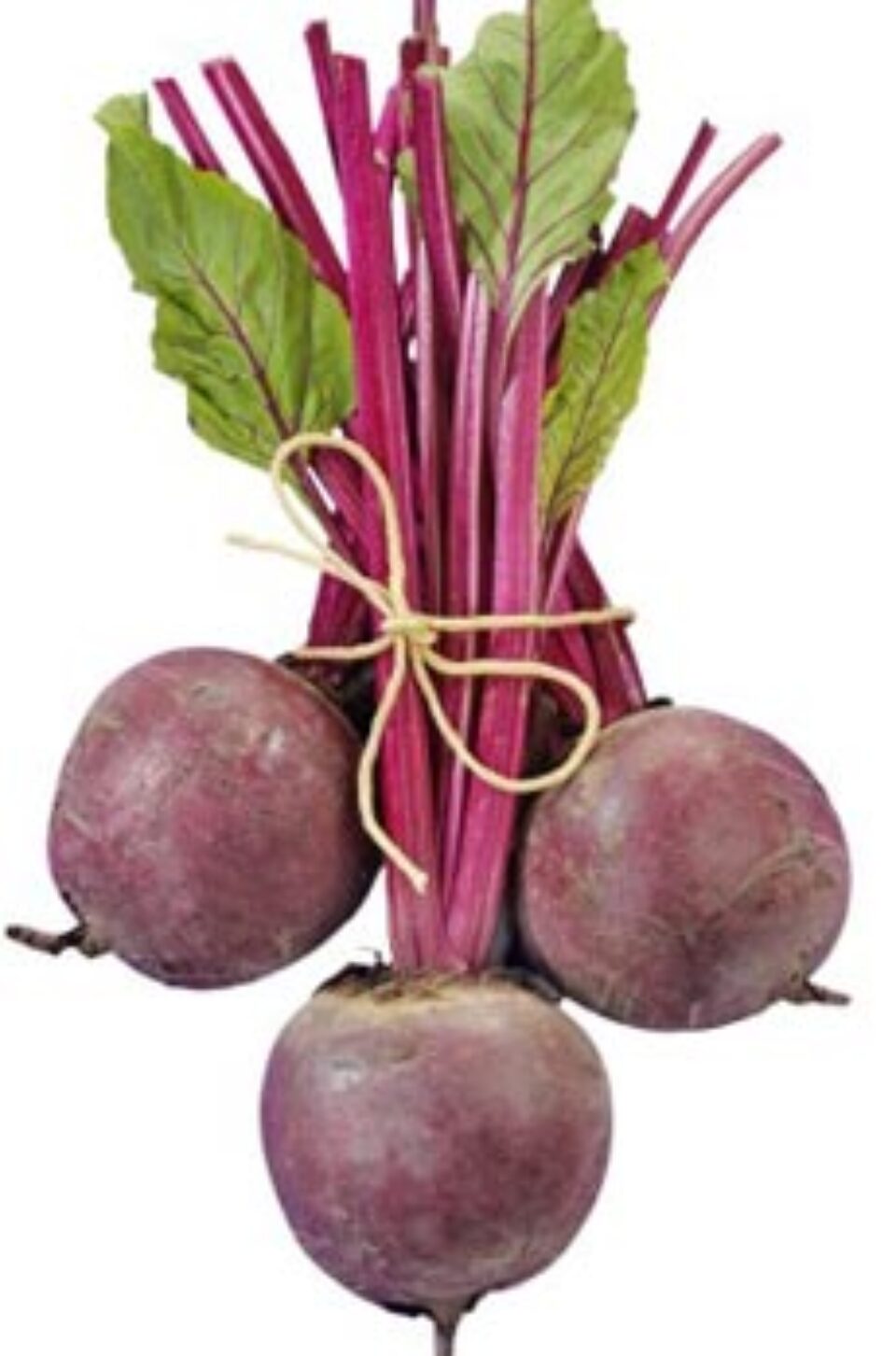 Sfecla roșie în terapia cancerului