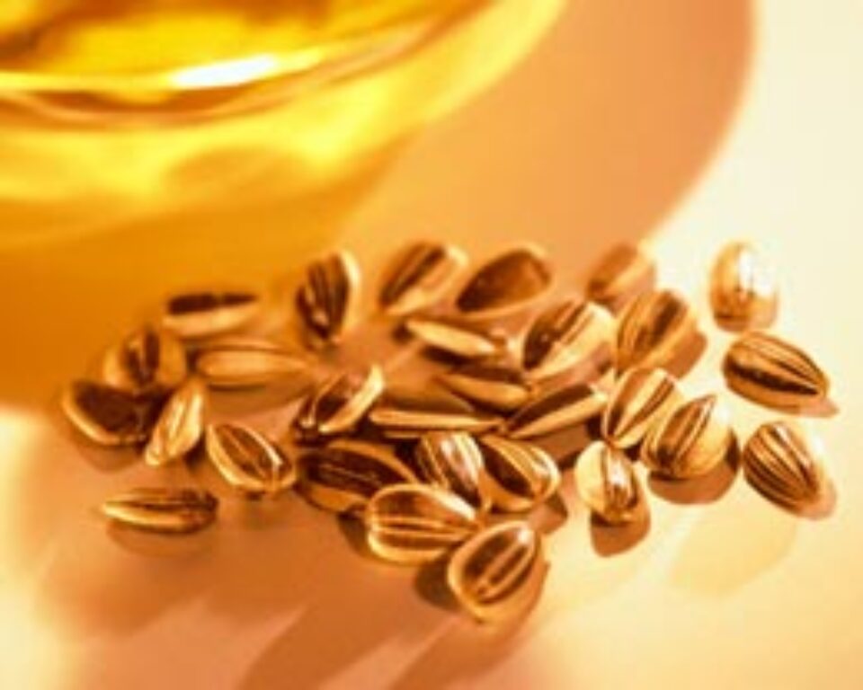 Semințele de floarea soarelui, remediu natural!