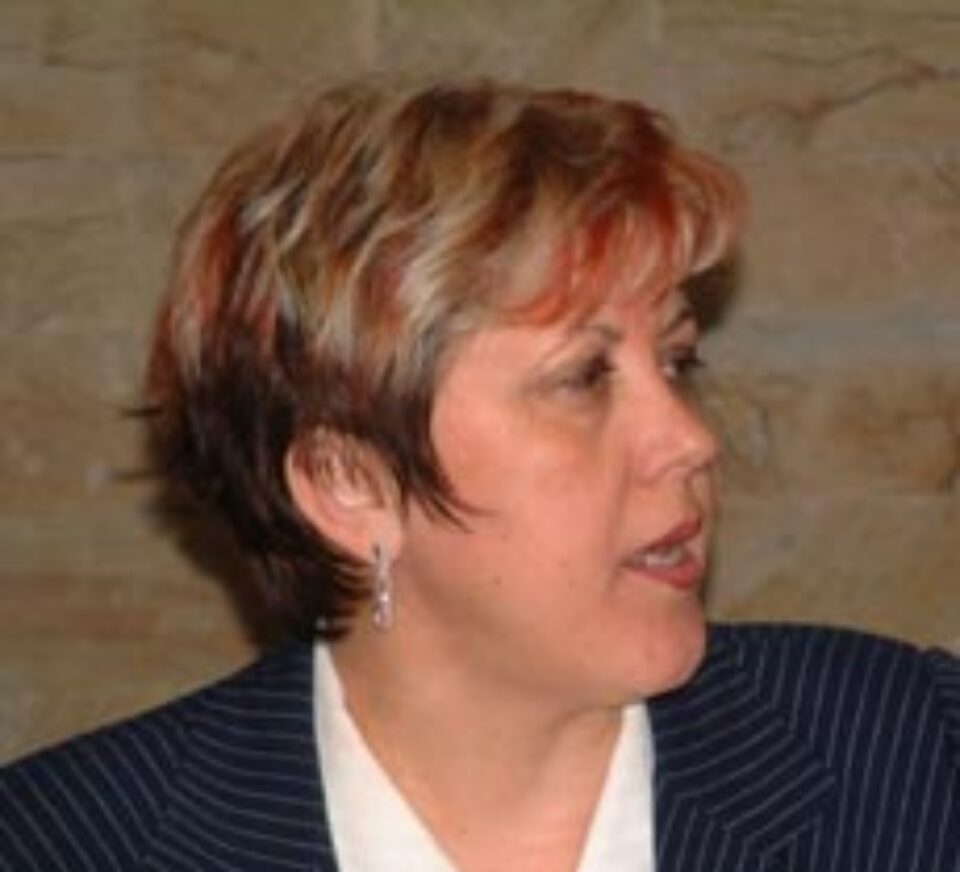 PNL Suceava își pune consilierii la treabă