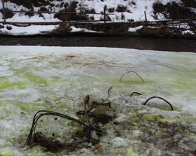 Copii mutilați în urma exploziei unui proiectil