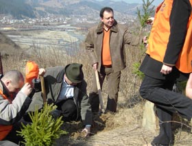 PLD-iștii suceveni au declanșat „ofensiva verde”