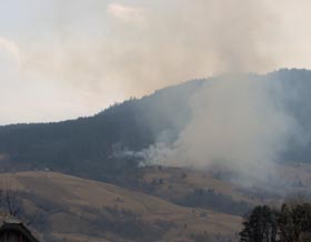 Pădurile din Vama, la un pas de a fi mistuite de flăcări