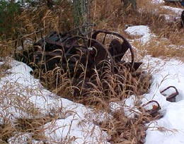 Din presa de altadata