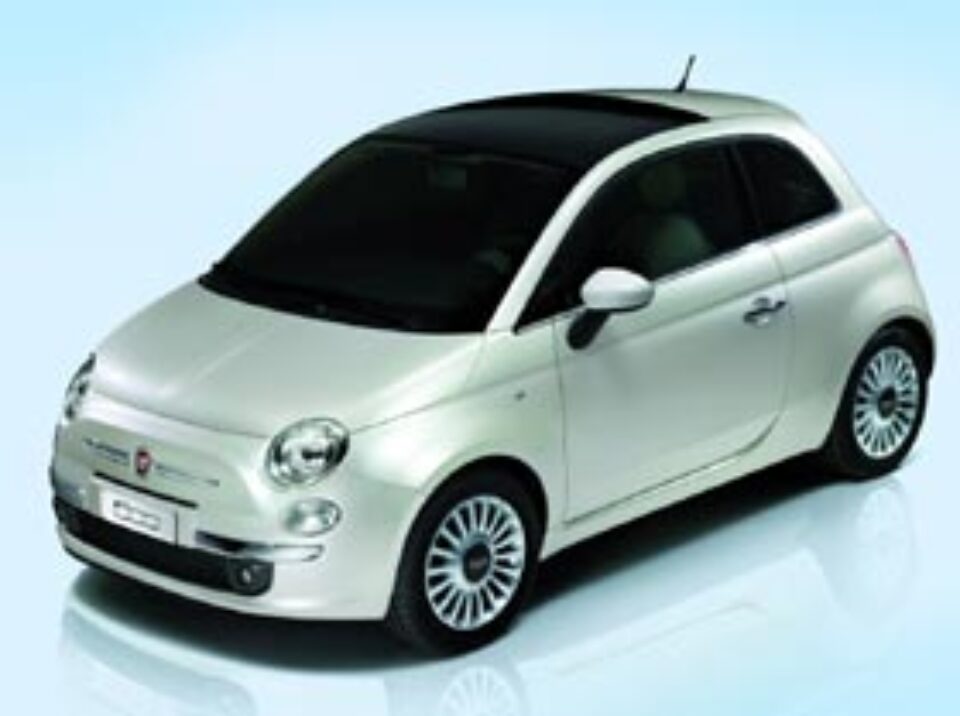 Buburuză ruză Buburuză ruză