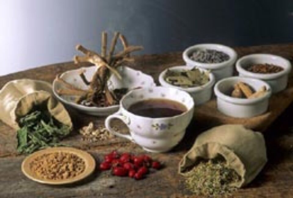 Cele cinci secrete ale tratamentelor cu plante de leac