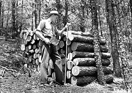 Din presa de altadata