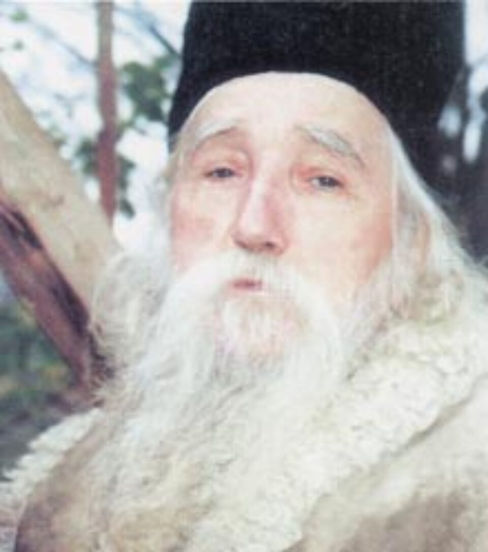 DUMNEZEIASCA ÎMPĂRTĂȘANIE DUMNEZEIASCA ÎMPĂRTĂȘANIE