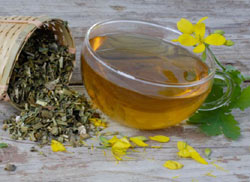 Tincturile, izvor de sănătate